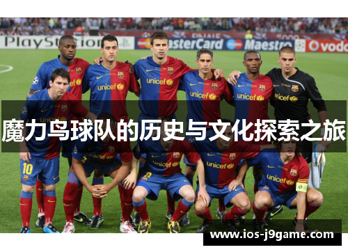 魔力鸟球队的历史与文化探索之旅