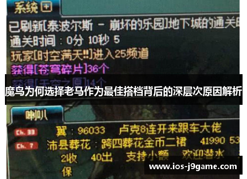 魔鸟为何选择老马作为最佳搭档背后的深层次原因解析